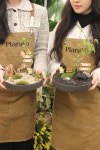 플랜팁