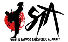 STA신은태우태권도