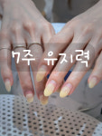 네일옴&오로지푸스 양주덕계점