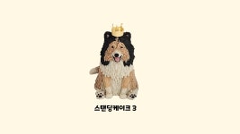 꼬리별펫케이크
