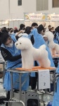 제이케이펫샵