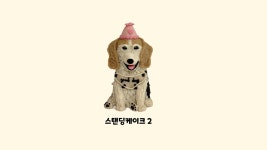 꼬리별펫케이크