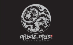 대한미르태권도
