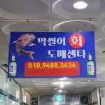 막썰어회도매센타