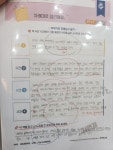 책나무 전남순천용당점