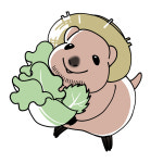 쌈바쌈바