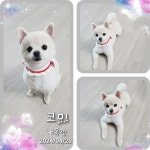 개목깐