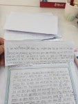 책나무 전남순천용당점