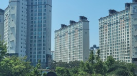 포항몽땅공인중개사사무소