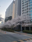 성심공인중개사사무소
