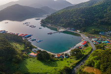 하하호호프렌드 애견동반펜션