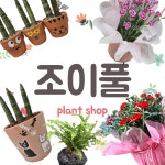 조이풀