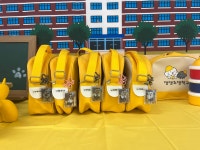 댕댕초댕학교