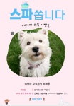 The dog salon