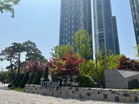 트리마제랜드부동산공인중개사사무소