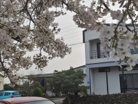 드랑드랑