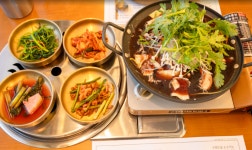 참푸른식당