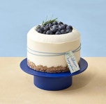 투썸플레이스 광주조선대점