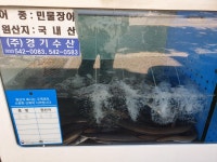 싱싱민물장어세상
