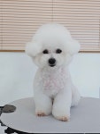 어머멍
