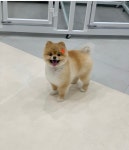 위드나나