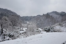 천지수향