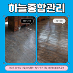 하늘종합관리