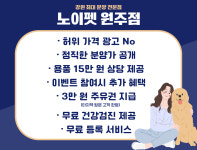 노이펫 강아지고양이 원주점