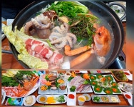 거북이네