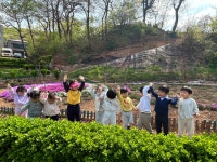 나무와숲어린이집