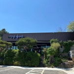 산골송어