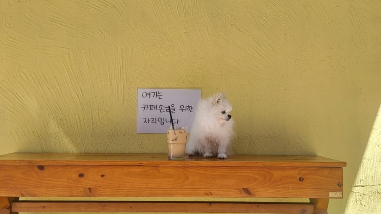 타임파스타 앤 커피