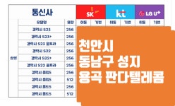 판다텔레콤 용곡점