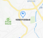 연꽃빌리지관광농원