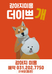 더이쁘개