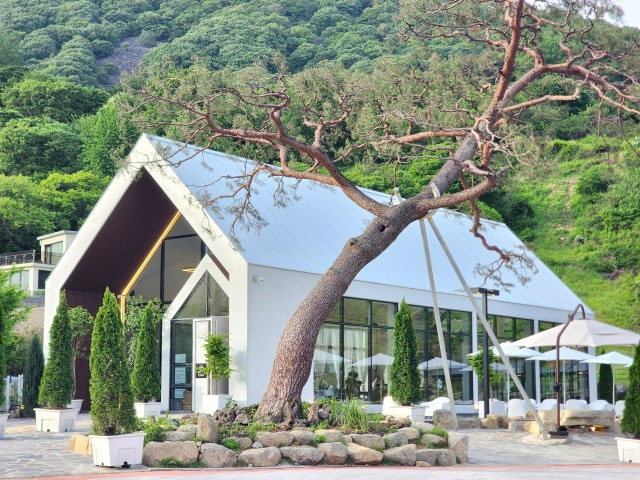 파인40