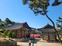 신점사주