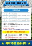 서준이네메론농장