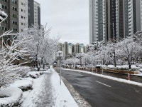 부자부동산 단지내 공인중개사사무소