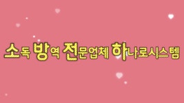 하나로시스템