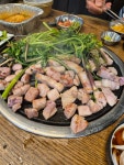 도도한돼지 신월성 본점