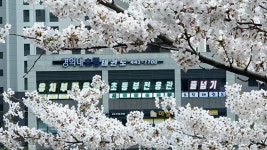 경희대호림태권도장