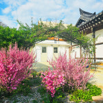 광주이씨박곡종택