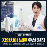 서울연치과의원