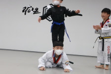 라이온태권도