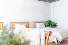 자니노니 마시안점