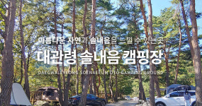 대관령솔내음오토캠핑장