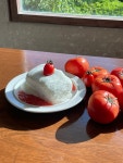 하르르 커피 거제