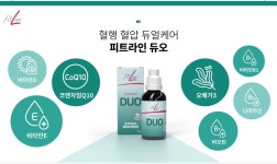 독일피엠