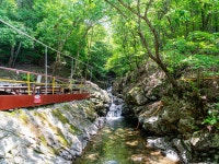 숲속산장